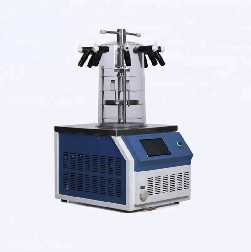 Vacuum Pump for Lyophilizer